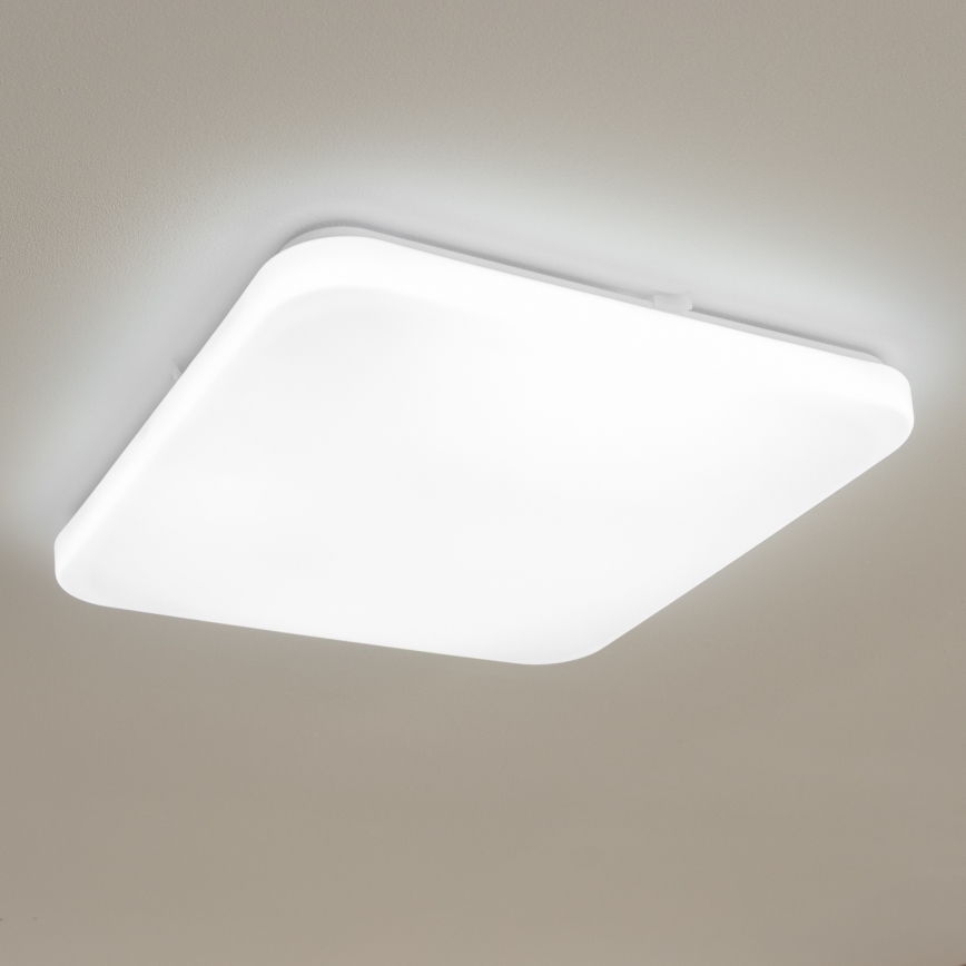 Brilagi - LED loftlampe OPAL LED/24W/230V