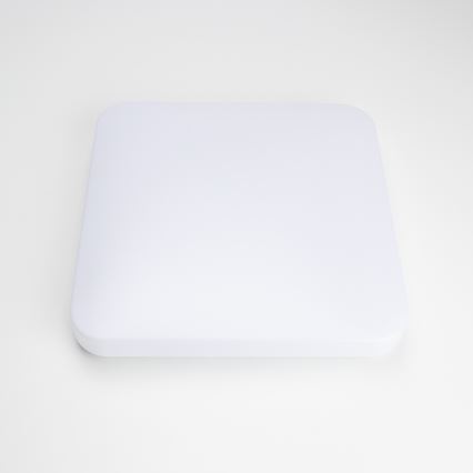 Brilagi - LED loftlampe OPAL LED/24W/230V
