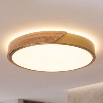 BRILAGI - LED loftlampe PILANA LED/24W/230V eg/guld Ø 30 cm