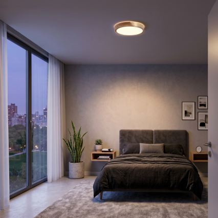 BRILAGI - LED loftlampe PILANA LED/24W/230V eg/guld Ø 30 cm