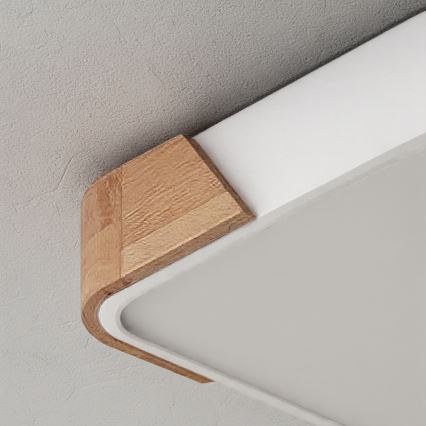 Brilagi - LED loftlampe PILANA LED/24W/230V eg/hvid 32x32 cm