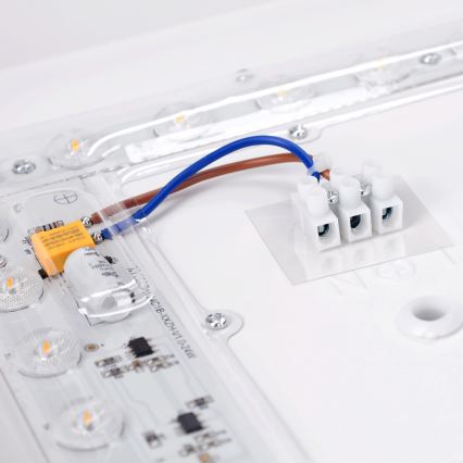 Brilagi - LED loftlampe PILANA LED/24W/230V eg/hvid 32x32 cm