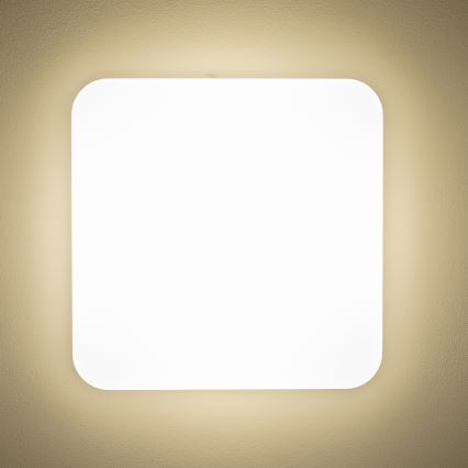 Brilagi - LED loftlampe PLAIN LED/24W/230V 3000K