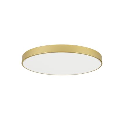 Brilagi - POOL LED-loftlampe, 100W/230V, 3000/4000/6000K, Ø 80 cm, guld