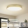 Brilagi - LED loftlampe POOL LED/128W/230V 3000/4000/6000K Ø 100 cm guldfarvet