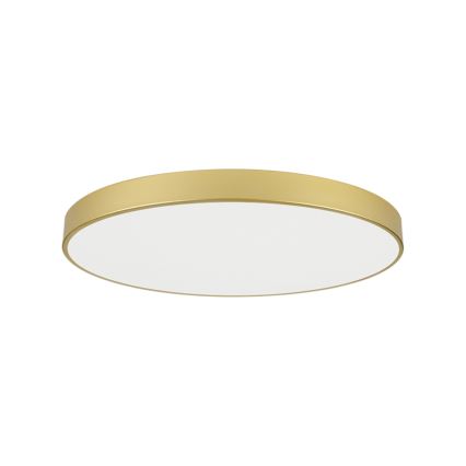 Brilagi - LED loftlampe POOL LED/128W/230V 3000/4000/6000K Ø 100 cm guldfarvet