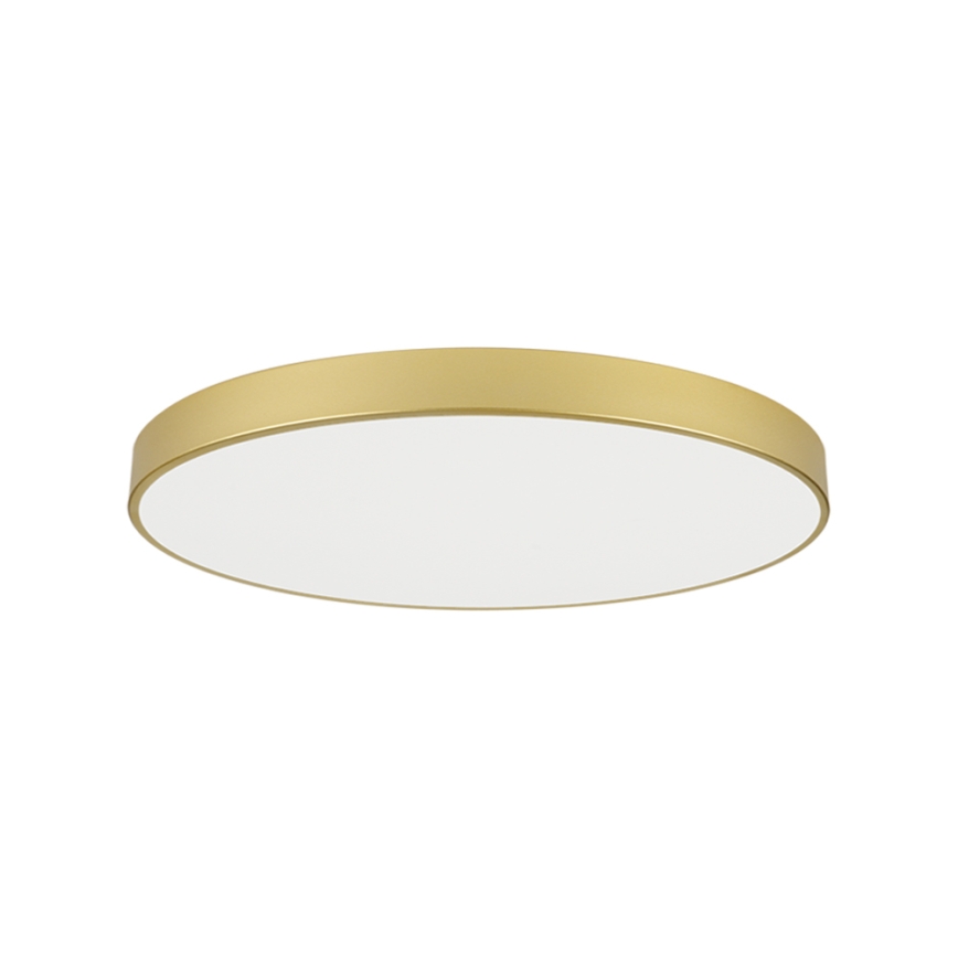 Brilagi - LED loftlampe POOL LED/128W/230V 3000/4000/6000K Ø 100 cm guldfarvet
