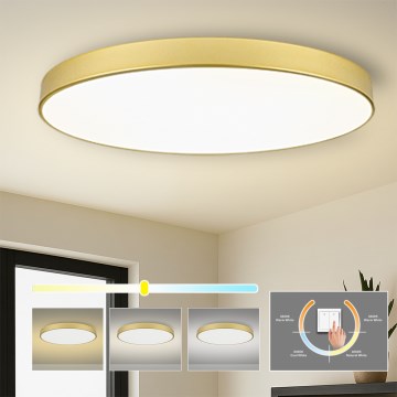 Brilagi - LED loftlampe POOL LED/180W/230V 3000/4000/6000K Ø 120 cm guld