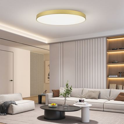 Brilagi - LED-loftlampe POOL LED, 180 W, 230 V, 3000/4500/6000 K, Ø 120 cm, guldfarvet