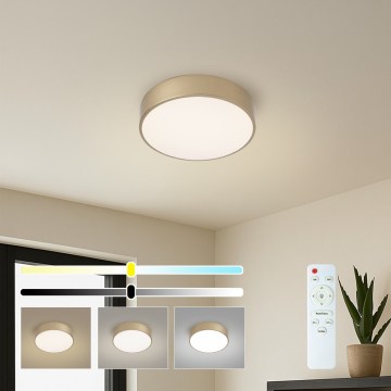 Brilagi - LED loftlampe POOL LED/24W/230V 3000/4000/6000K Ø 20 cm guld