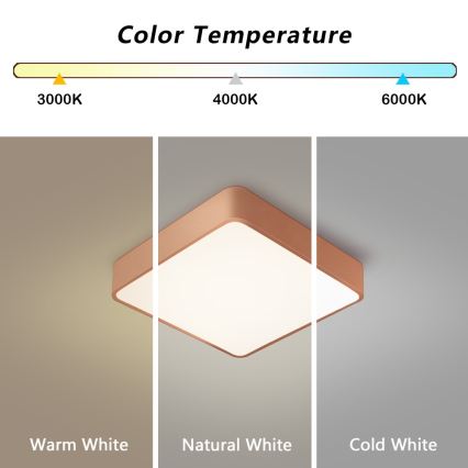 Brilagi - LED-loftlampe POOL LED/36W/230V 3000/4000/6000K 40x40 cm bronzefarvet