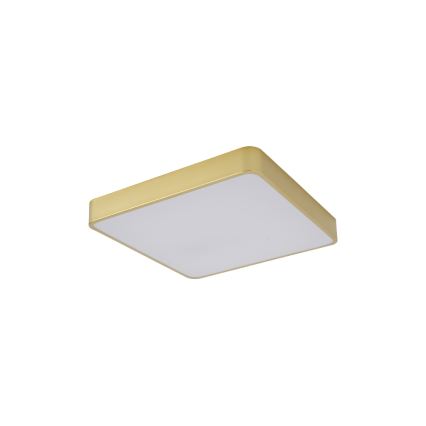 Brilagi - LED loftlampe POOL LED/36W/230V 3000/4000/6000K 40x40 cm guld
