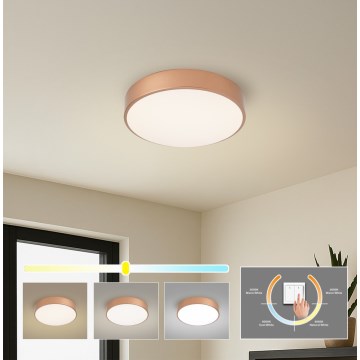 Brilagi - LED-loftlampe POOL LED/36W/230V 3000/4000/6000K Ø 30 cm bronze