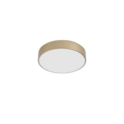 Brilagi - LED-loftlampe POOL LED/36W/230V 3000/4000/6000K Ø 30 cm guld