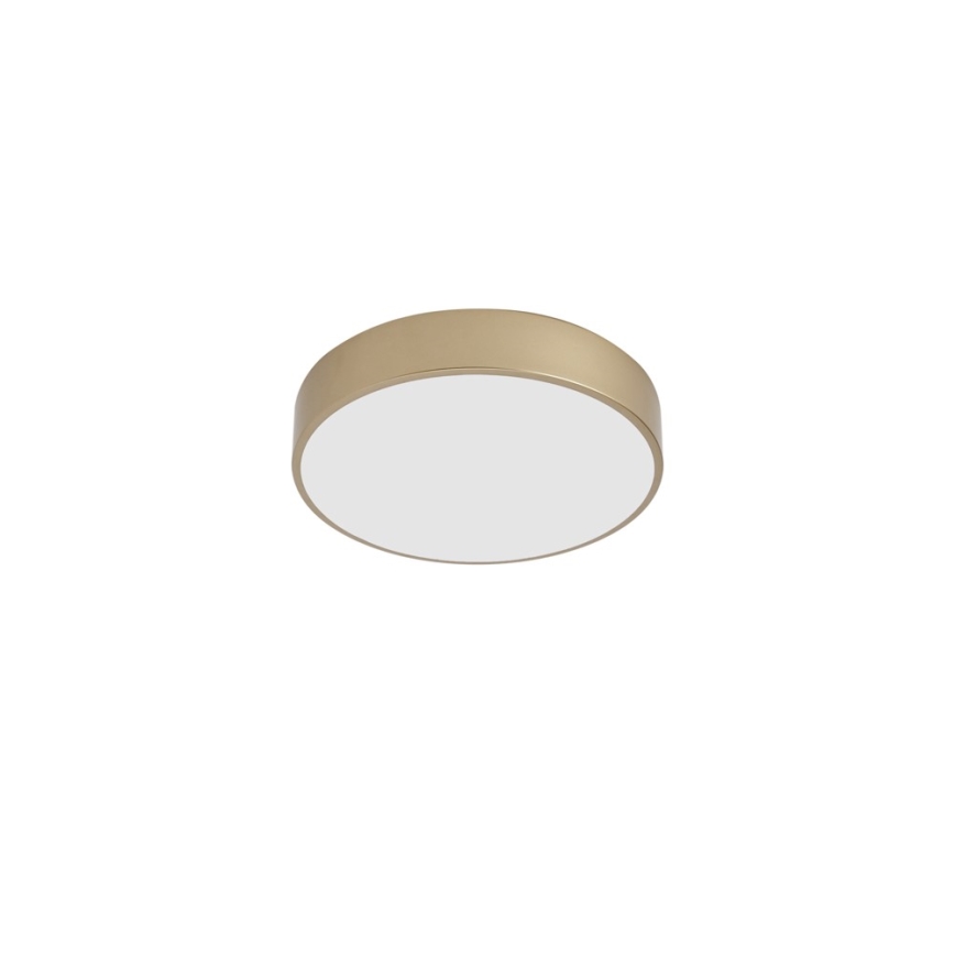 Brilagi - LED-loftlampe POOL LED/36W/230V 3000/4000/6000K Ø 30 cm guld