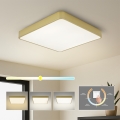 Brilagi - LED loftlampe POOL LED/48W/230V 3000/4000/6000K 50x50 cm guld