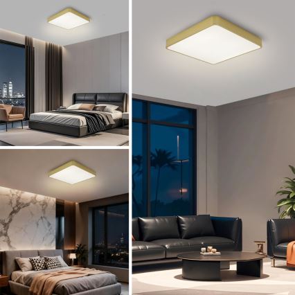 Brilagi - LED loftlampe POOL LED/48W/230V 3000/4000/6000K 50x50 cm guld