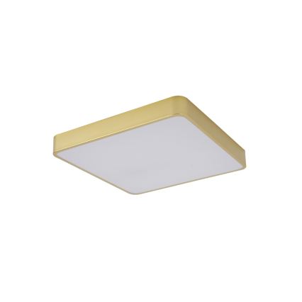 Brilagi - LED loftlampe POOL LED/48W/230V 3000/4500/6000K 50x50 cm guld