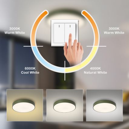 Brilagi - LED loftlampe POOL LED/60W/230V 3000/4000/6000K, diameter 50 cm, grøn