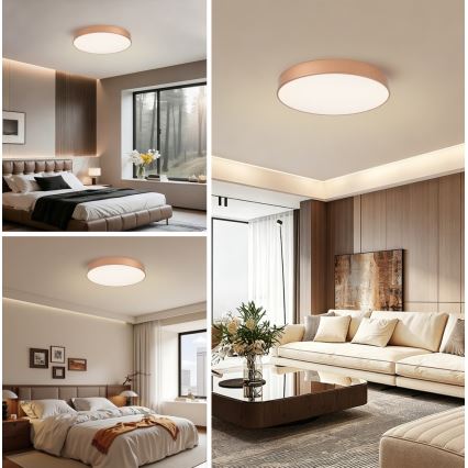 Brilagi - LED-loftlampe POOL LED/60W/230V 3000/4000/6000K Ø 50 cm bronzefarvet