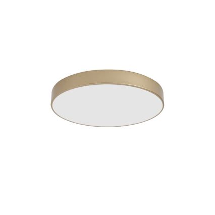 BRILAGI - LED-loftlampe POOL LED/60W/230V 3000/4000/6000K Ø 50 cm guld