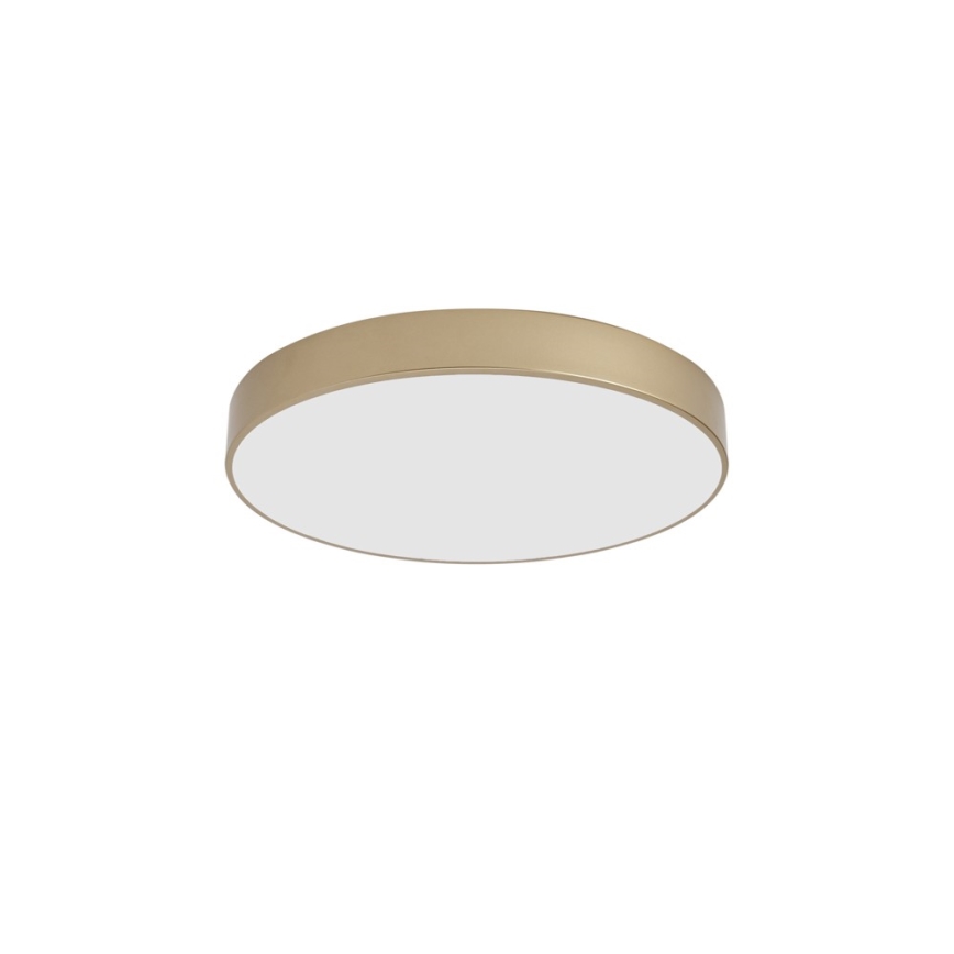 BRILAGI - LED-loftlampe POOL LED/60W/230V 3000/4000/6000K Ø 50 cm guld