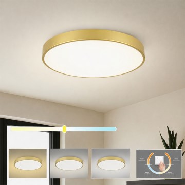 Brilagi - LED loftlampe POOL LED/60W/230V 3000/4000/6000K Ø 60 cm guldfarvet