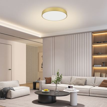 Brilagi - LED loftlampe POOL LED/60W/230V 3000/4000/6000K Ø 60 cm guldfarvet