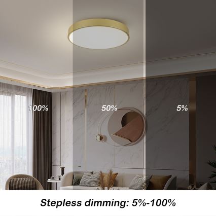 Brilagi - LED loftlampe POOL LED/60W/230V 3000/4000/6000K Ø 60 cm guldfarvet