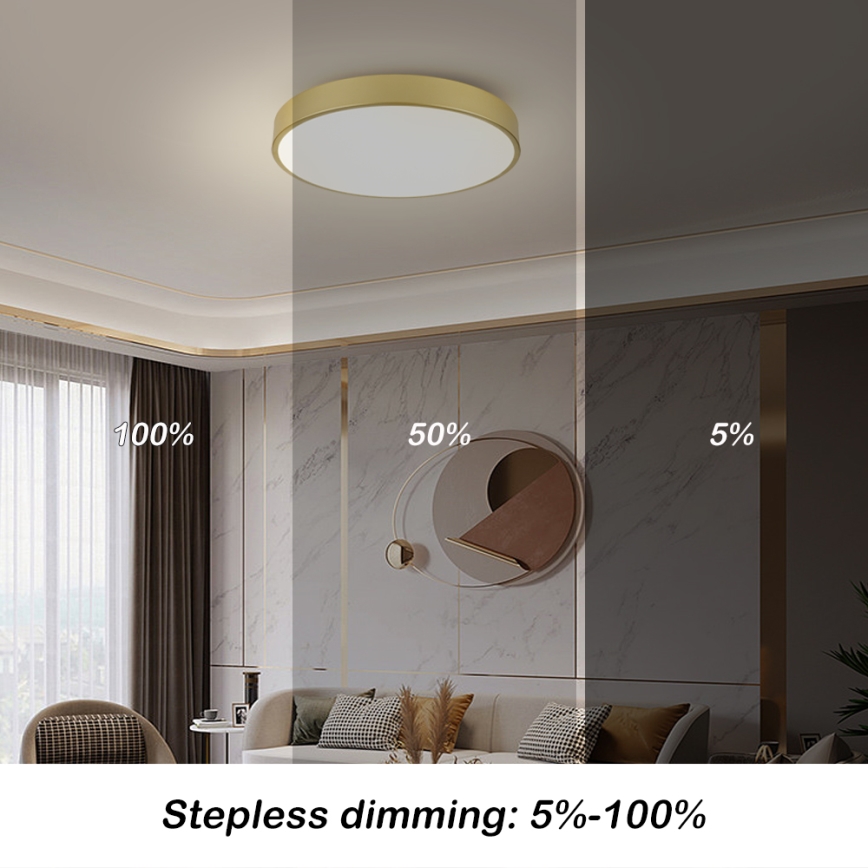Brilagi - LED loftlampe POOL LED/60W/230V 3000/4000/6000K Ø 60 cm guldfarvet