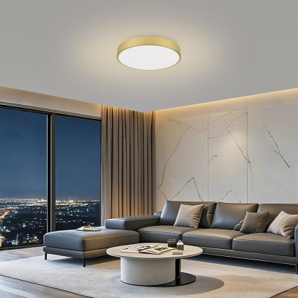 Brilagi - LED loftlampe POOL LED/60W/230V 3000/4000/6000K Ø 60 cm guldfarvet