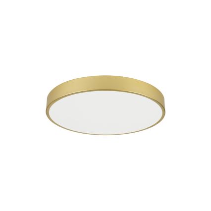 Brilagi - LED loftlampe POOL LED/60W/230V 3000/4000/6000K Ø 60 cm guldfarvet