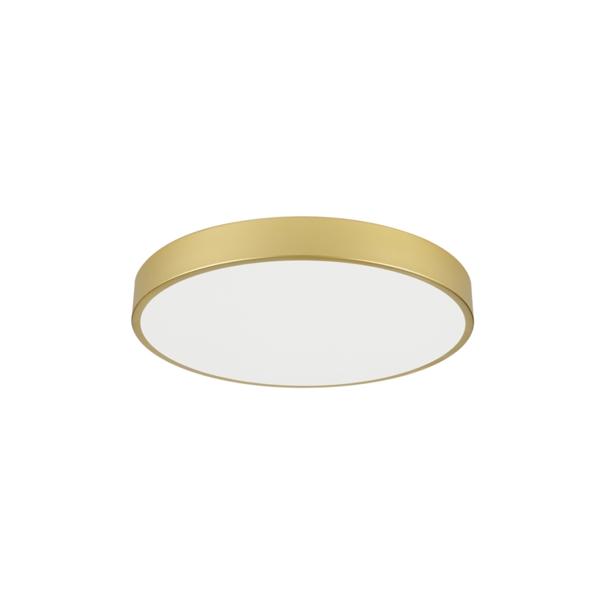 Brilagi - LED loftlampe POOL LED/60W/230V 3000/4000/6000K Ø 60 cm guldfarvet