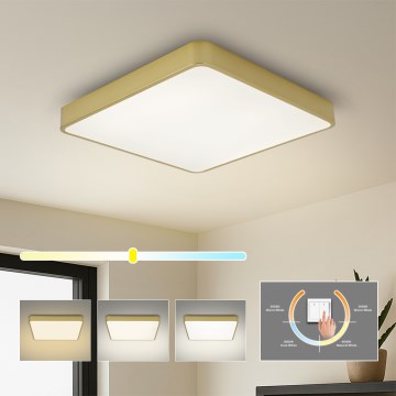 Brilagi - LED loftlampe POOL SQUARE LED/36W/230V 3000/4000/6000K 40x40 cm guld