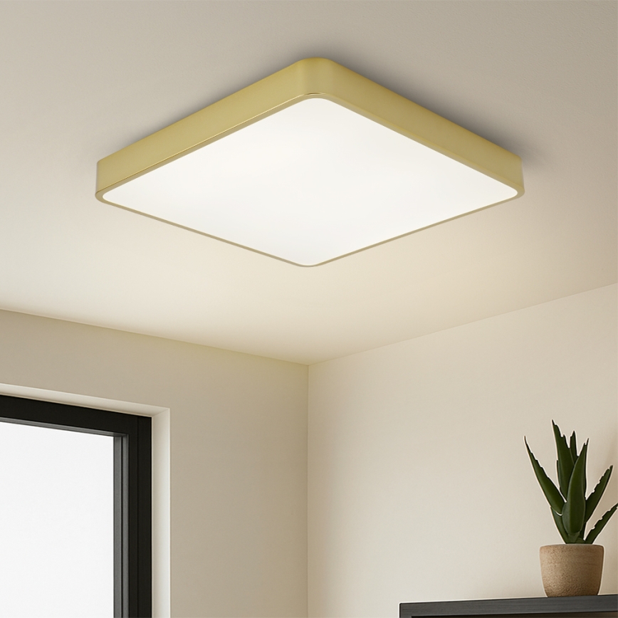 BRILAGI - LED loftlampe POOL SQUARE LED/48W/230V 3000/4000/6000K 50x50 cm guld