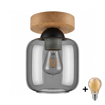 BRILAGI - LED-loftlampe RETRO GLASS 1xE27/60W/230V Ø 14 cm eg/røget grå