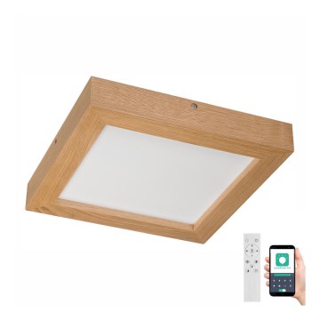 Brilagi - LED loftlampe til badeværelse dæmpbar WOODY FRAME LED/24W/230V eg 30x30 cm 3000-6000K IP44 + fjernbetjening