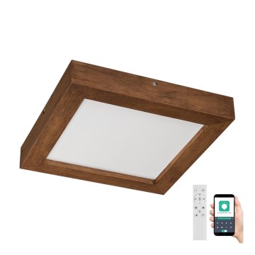 Brilagi - LED loftlampe til badeværelse dæmpbar WOODY FRAME LED/24W/230V eg kirsebær 30x30 cm 3000-6000K IP44 + fjernbetjening