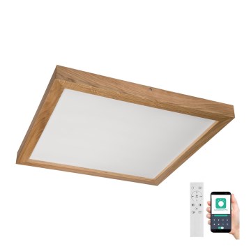 Brilagi - LED loftlampe til badeværelse dæmpbar WOODY FRAME LED/50W/230V eg 60x60 cm 3000-6000K IP44 + fjernbetjening