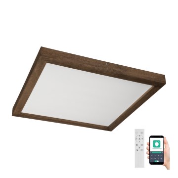 Brilagi - LED loftlampe til badeværelse dæmpbar WOODY FRAME LED/50W/230V eg 60x60 cm 3000-6000K IP44 + fjernbetjening