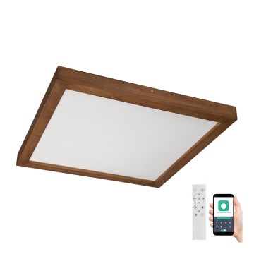Brilagi - LED loftlampe til badeværelse dæmpbar WOODY FRAME LED/50W/230V eg kirsebær 60x60 cm 3000-6000K IP44 + fjernbetjening