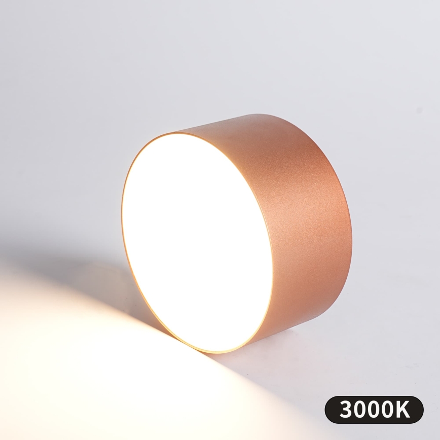BRILAGI - LED Badeværelsesloftlampe FORIS LED/14W/230V Ø 12 cm bronze IP44