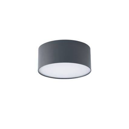 Brilagi - LED badeværelsesloftlampe FORIS LED/20W/230V, Ø 15 cm, antracit, IP44