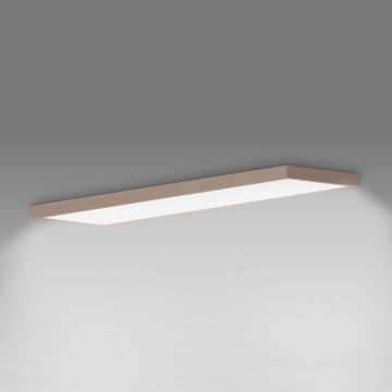 Brilagi - LED loftlampe til badeværelse FRAME LED/50W/230V 120x30 cm IP44 beige