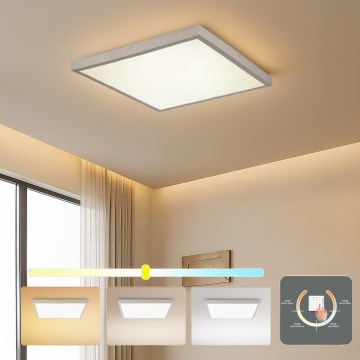 Brilagi - LED loftlampe til badeværelse FRAME LED/50W/230V 3000/4000/6000K 60x60 cm IP44 sølv
