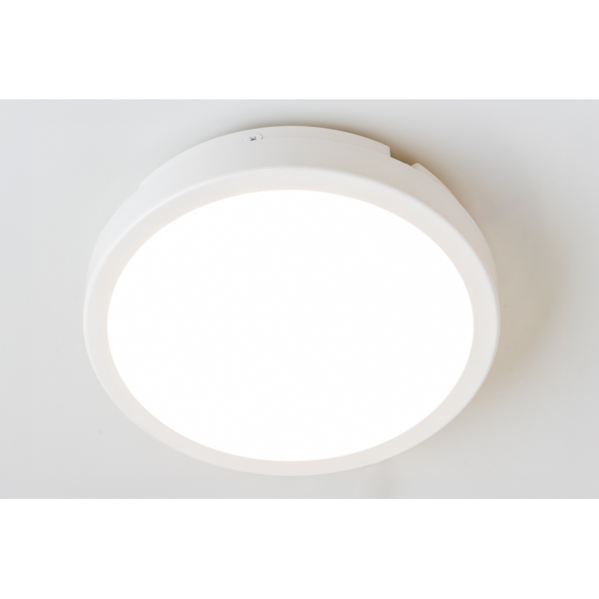 Brilagi - LED loftlampe til badeværelse PERA LED/18W/230V diameter 22 cm IP65 hvid