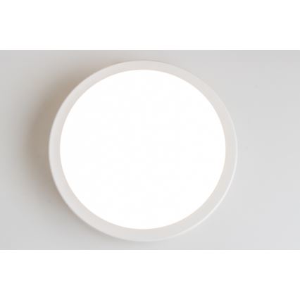 Brilagi - LED loftlampe til badeværelse PERA LED/18W/230V diameter 22 cm IP65 hvid