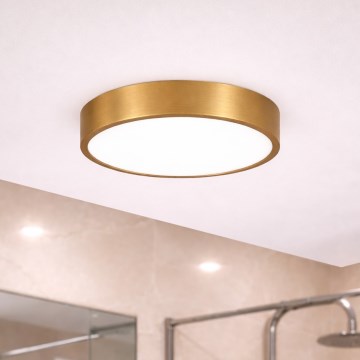 Brilagi - LED-loftlampe til badeværelse POOL LED/24W/230V 3000/4000/5500K Ø 30 cm IP54 bronze