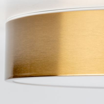 Brilagi - LED-loftlampe til badeværelse POOL LED/24W/230V 3000/4000/5500K Ø 30 cm IP54 bronze