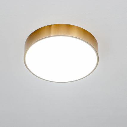 Brilagi - LED-loftlampe til badeværelse POOL LED/24W/230V 3000/4000/5500K Ø 30 cm IP54 bronze